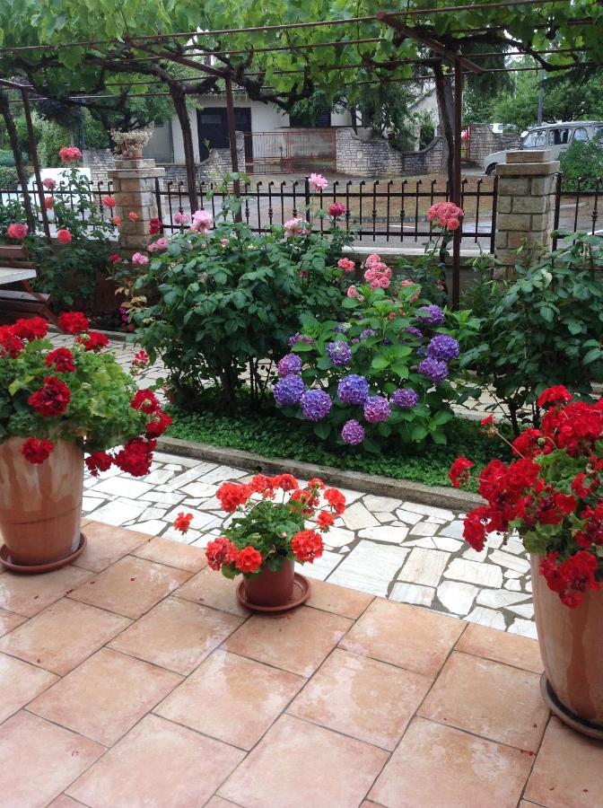 Vila Alma بوريتش المظهر الخارجي الصورة